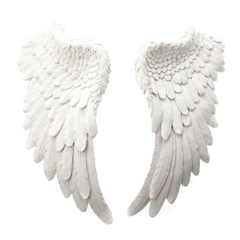 angel wings side view images pictures becuo