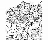 Doomsday Universe Dc Ability Coloring Pages sketch template