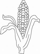 Corn Coloring Pages Drawing Stalk Stalks Paintingvalley Vegetables Recommended sketch template