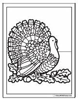 Coloring Pages Thanksgiving Turkey Cute Fuzzy Birthday Printable Pdf Acorns Rainbow Favorite sketch template