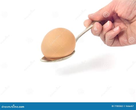 egg  spoon stock photo image  protein human spoon