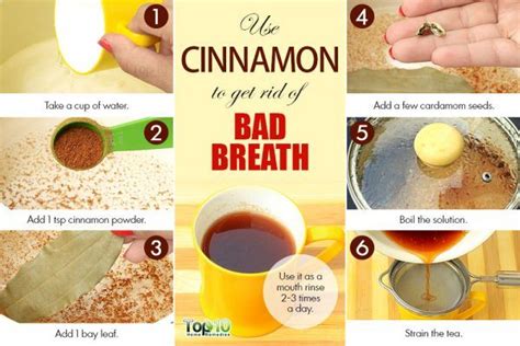 home remedies for bad breath top 10 home remedies
