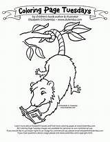 Possum Colouring Library Folktale Possums sketch template
