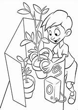 Plants Growing Coloring Pages sketch template
