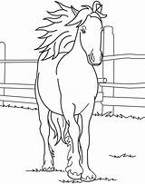 Coloring Horse Book Pages Real Popular Coloringhome sketch template