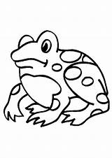 Frog Kikkers Coloring Pages Kleurplaten Kleurplaat Kikker Frogs Clipart Cliparts Kleurplaatjes Animated Graphics Van Gifs Zo Kleuren Similar sketch template