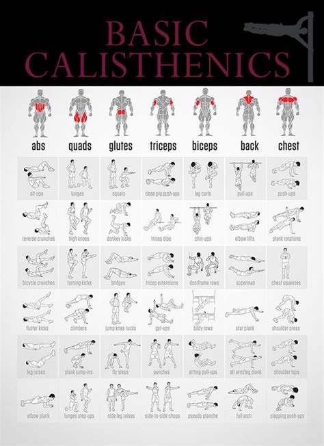 basic calisthenics basic calisthenics calisthenics workout for