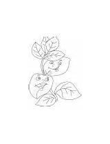 Basil Coloring Leaves Vase sketch template