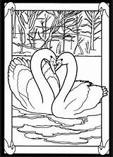 Coloring Pages Birds Glass Book Stained Dover Publications Bird Doverpublications Adult Swan Color Beautiful Patterns Colouring Pairs Swans Mated Transfer sketch template