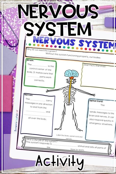 nervous system human body digital remote learning home school activity