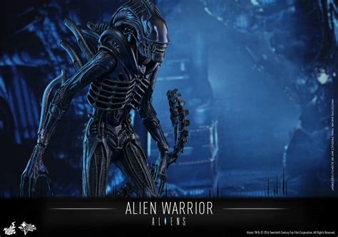 Toyhaven Hot Toys All New Aliens Xenomorph 1 6th Scale