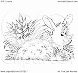 Rabbit Hiding Coloring Outline Illustration Royalty Clip Bannykh Alex Clipart sketch template