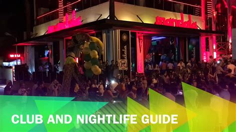 bars clubs  nightlife guide  playa del carmen youtube