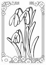 Wiosenne Kwiaty Kolorowanki Dla Wydrukowania sketch template