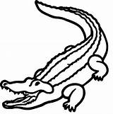 Alligator Drawing Easy Coloring Pages Printable Drawings Animals Getdrawings sketch template