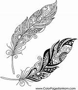 Feather Feathers Vector Tattoo Coloring Tribal Decorative Pages Peerless Mandala Colorpagesformom Shutterstock Maori Tattoos Stock Adult Visit Designs Choose Board sketch template