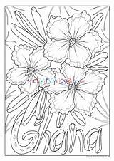 Ghana Flower Colouring National Pages Village Activity Explore Kids sketch template