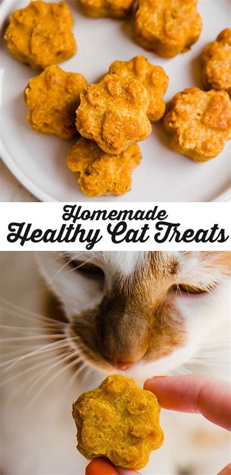 Healthy Homemade Pumpkin Cat Treats Recipe Homemade