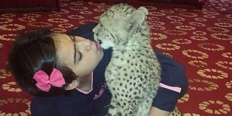 Gadis Kecil Saudi Ini Cuma Bisa Tidur Kalau Memeluk Macan