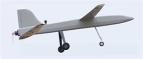 sword  uav large capacity twin wing drone  surveillance delivery