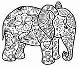 Elephant Colouring Elefant Colorear Zum Ausmalen Erwachsene Ausmalbild Kleurplaten Malvorlagen Olifant Kleurplaat Zoo Elefantes Basteln Boyama Fur Volwassenen Voor Malbuch sketch template