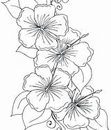 Coloring Flower Pages Arrangement Getdrawings sketch template