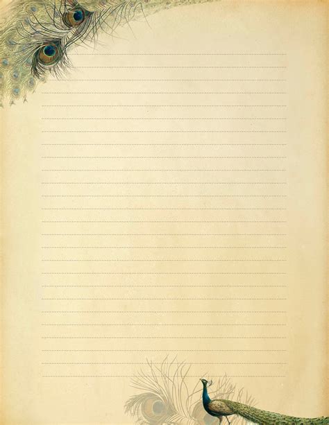 feather stationary set peacock paper lined letter writing etsy