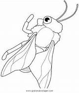 Insekten Hornisse Tiere Malvorlage Ausmalen Gratismalvorlagen sketch template