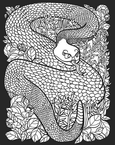dover publications coloring pages animal coloring pages