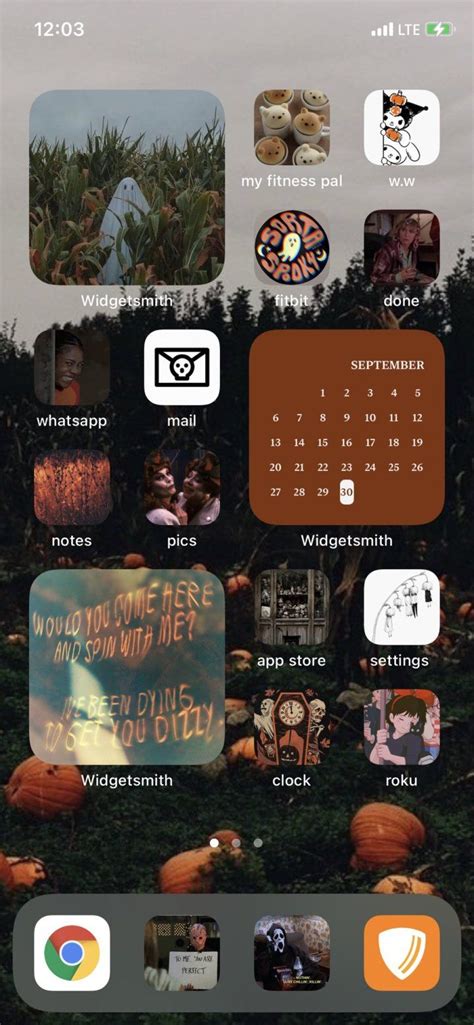 ios  fall aesthetic home screen ideas straphie