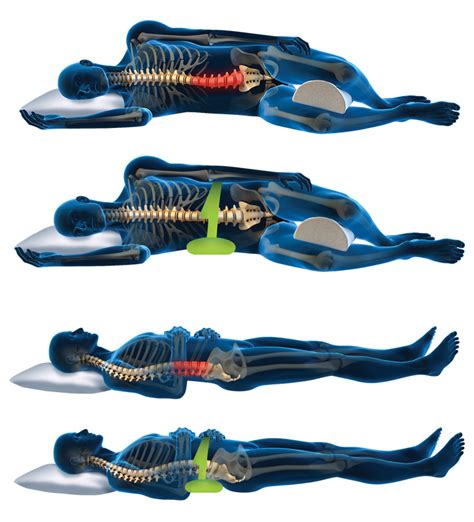 Lumbar Back Supports Air Bladder Sitting And Herniations