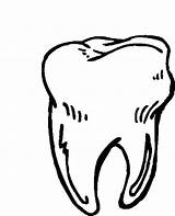 Tooth Dente Molar Kleurplaat Colorir Tanden Tandarts Dentes Oni Dental Kleurplaten Tandenpoetsen Imprimir Humano Tudodesenhos Clipartmag Coloringpages101 Zoeken Getcolorings sketch template