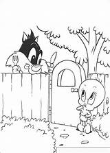 Sylvester Coloring Looney Tunes sketch template