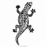 Lagartija Colorear Lizard Ausmalbild Smile Reptile Ultracoloringpages sketch template