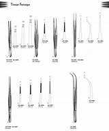 Forceps Surgical Instruments sketch template