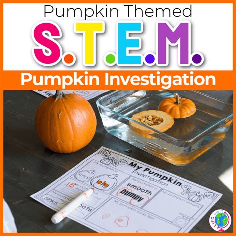 pumpkin investigation worksheet worksheets  kindergarten