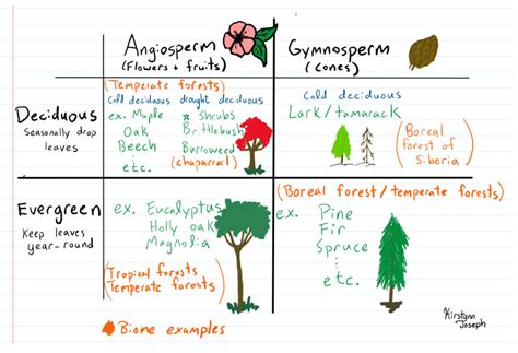 temperate deciduous forest world biomes  wild classroom