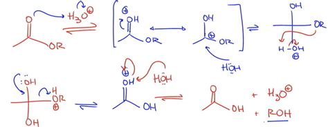 acid catalyzed ester hydrolysis organic chemistry video clutch prep