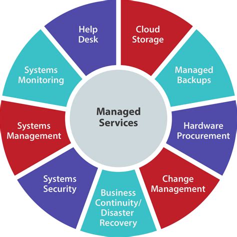 managed services roca networks