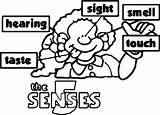 Senses Coloring Pages Wecoloringpage sketch template