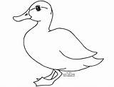 Animales Pato Animaux Canard Dibujo Albumdecoloriages Printablefreecoloring Couleur Gratis sketch template