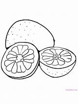 Grapefruit Pomelo sketch template
