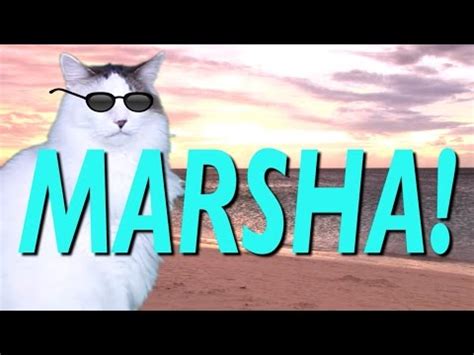 happy birthday marsha epic cat happy birthday song youtube