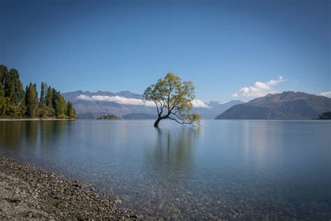 That Wanaka Tree In Lake Wanaka New Zealand [6700x4450] [oc] R