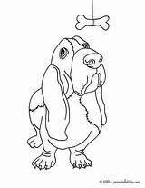 Basset Hound Colorear Perros Dibujos Ausmalen Hellokids Chien Bassett Yodibujo Hounds Sketchite Hunde Farben Drucken Línea sketch template