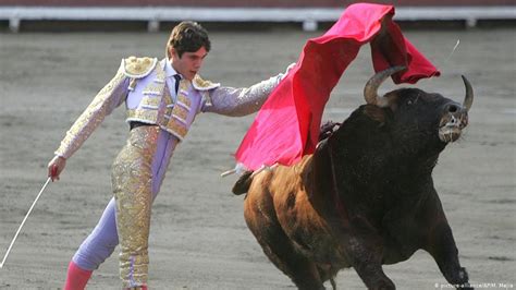 Cock And Bull Fighting Are Legal Peru′s Top Court Rules