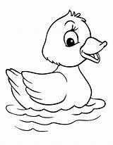 Duck Outline sketch template