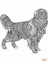 Coloring Pages Golden Retriever Zentangle Printable Drawing sketch template