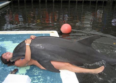 Sex dolphin porn