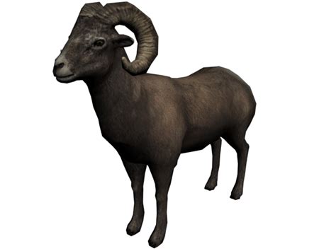 Bighorn Sheep Red Dead Wiki Fandom Powered By Wikia